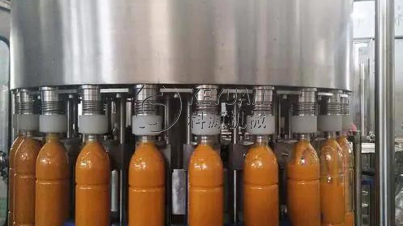 果蔬加工生产线设计方案：如何规避选型误区